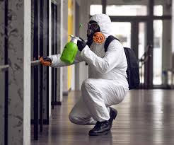 Why You Should Choose Our Mold Remediation Services in Peachtree City, GA